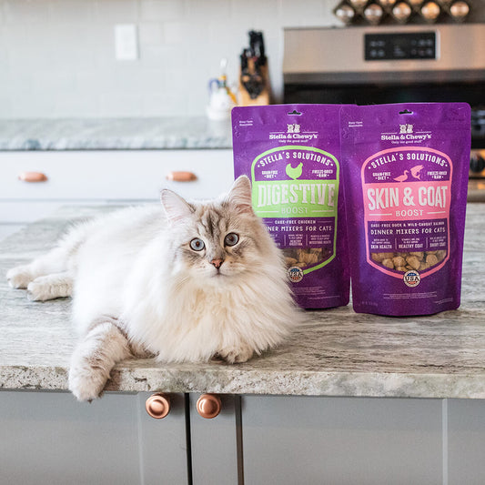 Stella & Chewy's Freeze Dried Cat Food - Digestive Boost Chicken