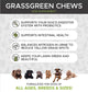 PetHonesty Grass Green Duck Flavored Soft Chew Digestive & Lawn Protection Supplement for Dogs
